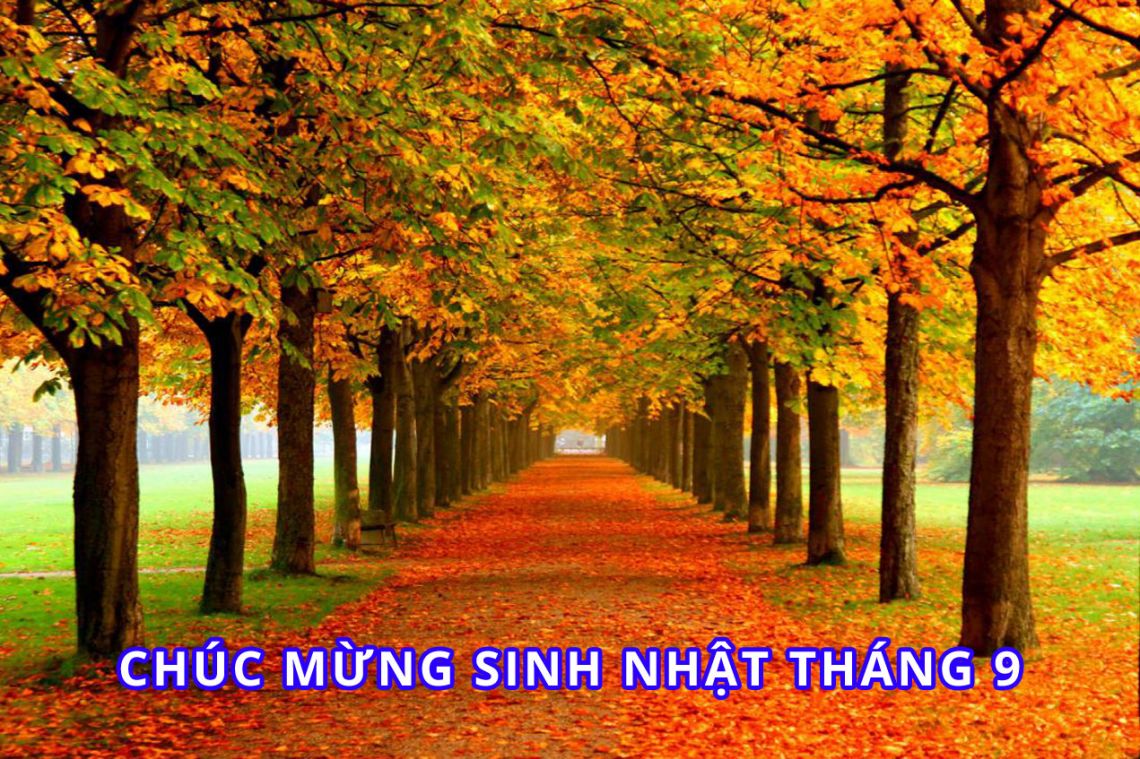 Nguyễn Thị Thảo Dung