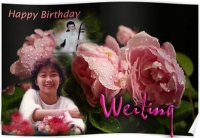 Happy Birthday WeiLing - BCH GNST