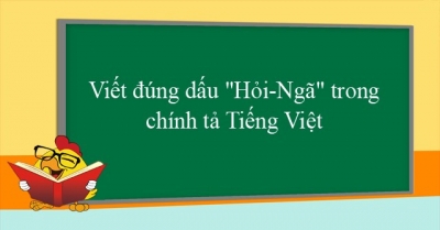 Hỏi Ngã Chính Tả Tự Vị ▬ Từ điển tiếng Việt