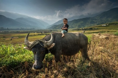 Hình ảnh Việt Nam tươi đẹp tại giải ảnh quốc tế