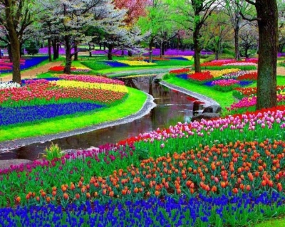 Thiên đường hoa ở Nhật Bản